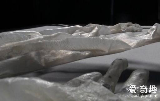 男子体验动物“蜕皮”