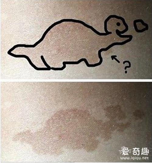 一夜成名真简单！女子网晒一张臀部恐龙胎记照就出名_见识多