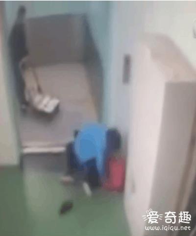 心寒！男子电梯前强暴女同事　多人围观竟无人阻止_见识多