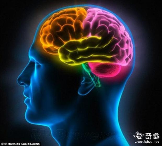 色情图片看的越多  大脑萎缩越快_见识多