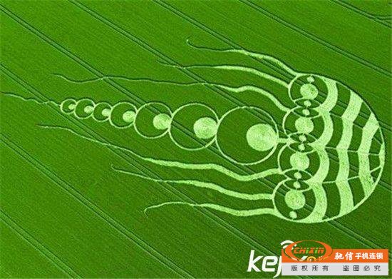 麦田怪圈形成之谜 神秘图案由外星人制造？