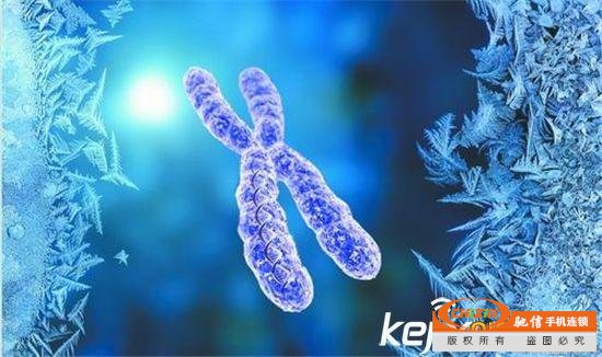 人类并非地球制造 竟是从月球中诞生的？